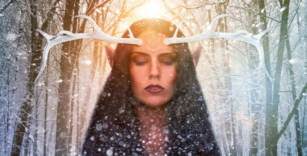 Queen of the forest