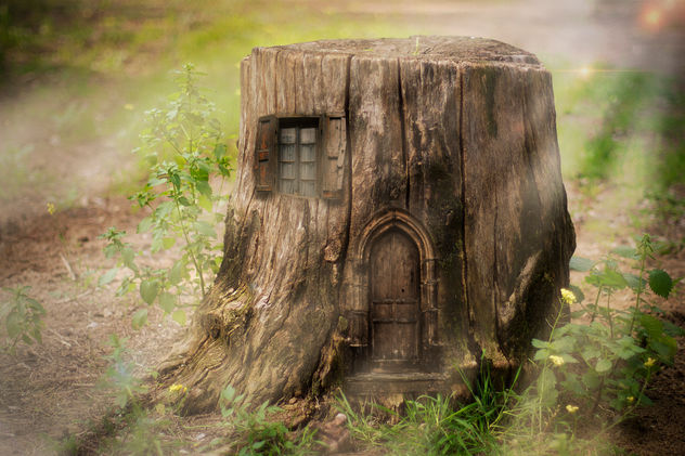 wooden house
