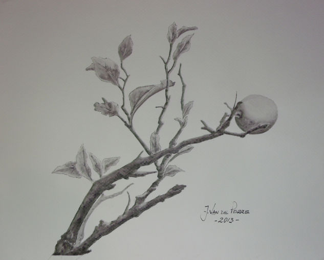 Lemon tree branch Tinta Papel Paisaje