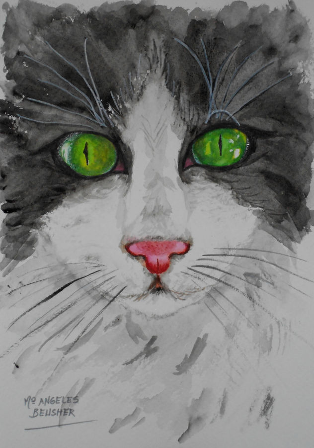 Gato de ojos esmeralda