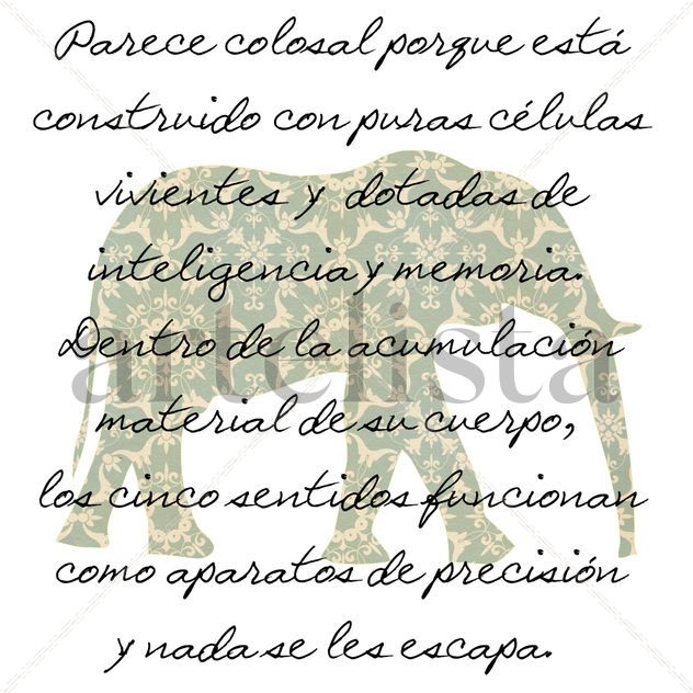El elefante