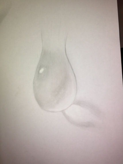 Gota gris