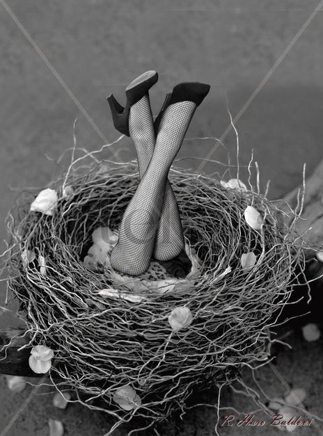 Love nest