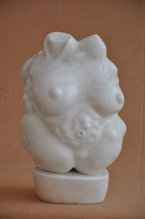 El torso