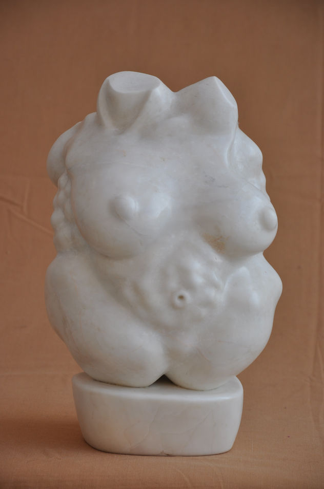 el torso