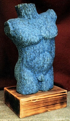 torso