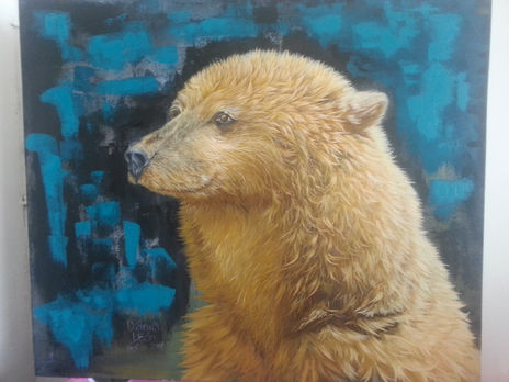 Oso