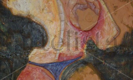 Colección 2005