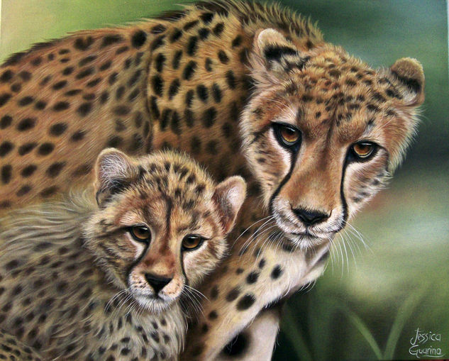 Cheetahs Oil Canvas Animals