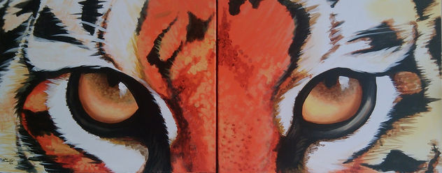 MIRADA DE TIGRE