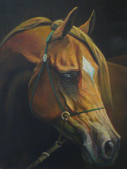 CABALLO ARABE Oil Canvas Animals