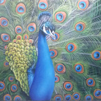 obra