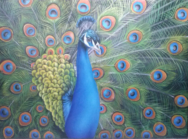 Pavo Real Oil Canvas Animals