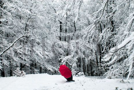 Color sobre la nieve