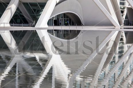 Reflejos