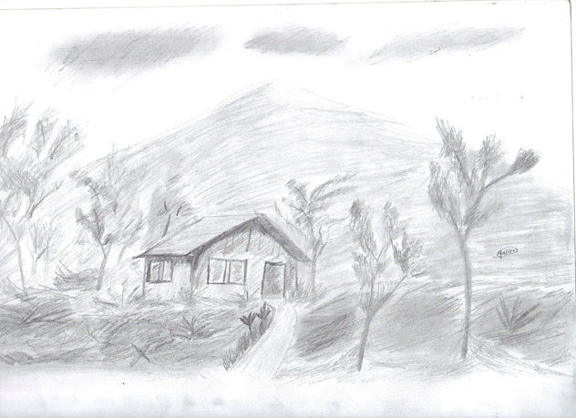 suave pradera
