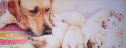 Amor de madre