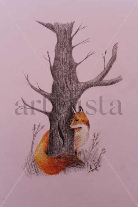 Fox.