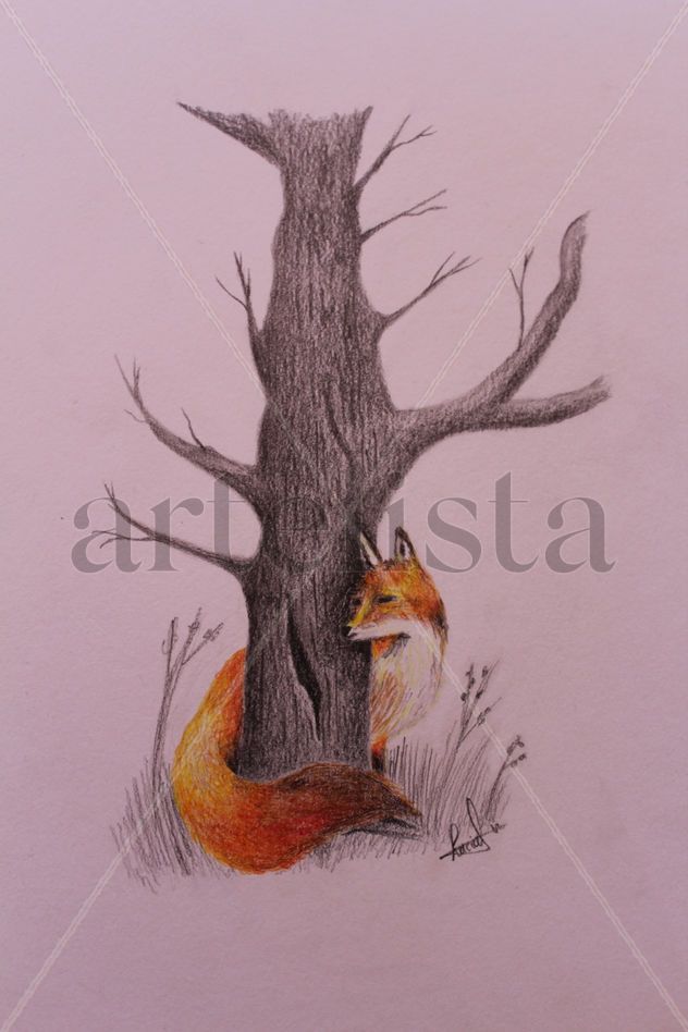 Fox.