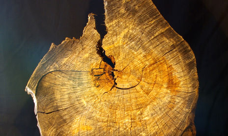 "ARTE Y NATURALEZA"