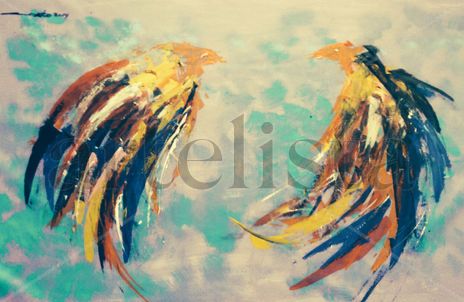 Gallos