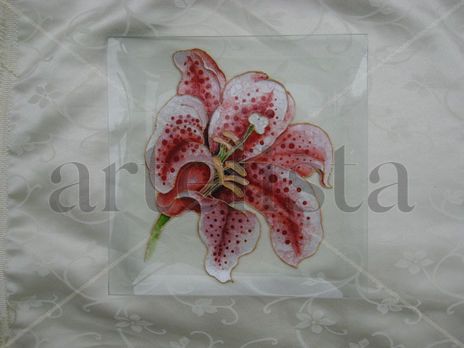 Lilium