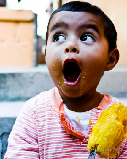 Bodoque & Mango