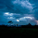 In Natura thumbnail 2