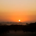 In Natura thumbnail 1