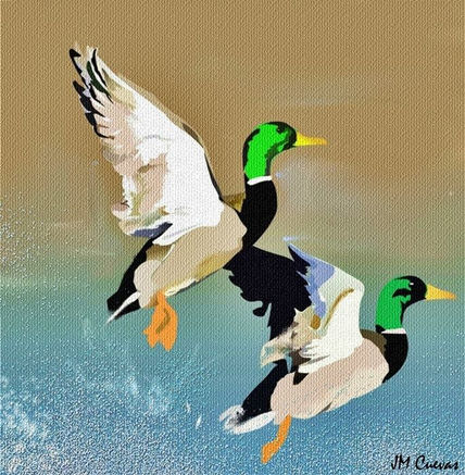 Patos