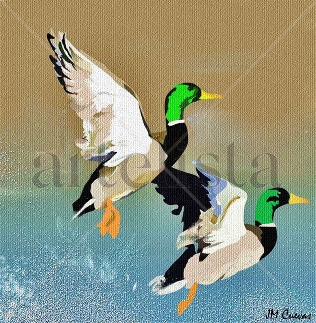 Patos