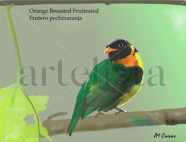 Frutero pechinaranja