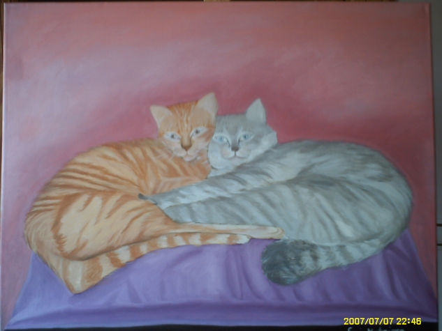 la siesta Oil Canvas Animals