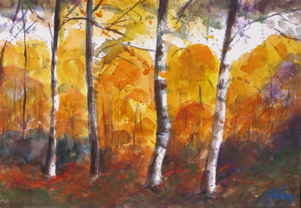 Bosc a la tardor