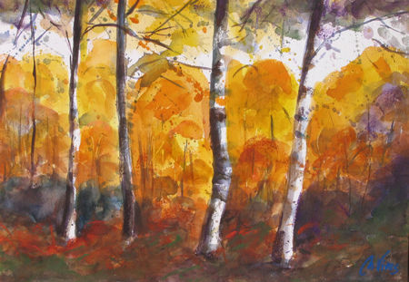 Bosc a la tardor Watercolour