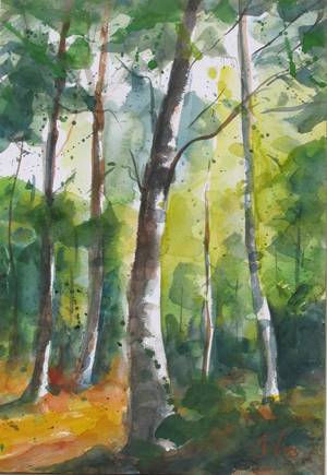 Bosc a l'estiu Watercolour