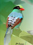 Belleza animal