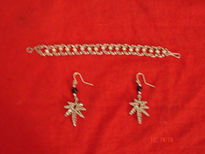 Pulsera y aretes