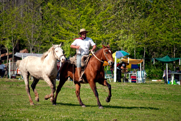 Gauchos Deportiva Color (Digital)