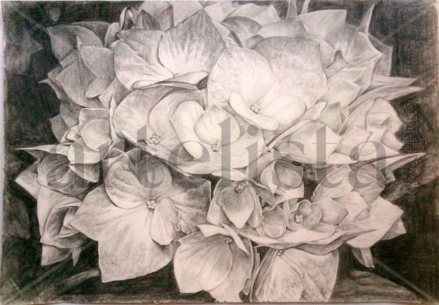 flores Pencil