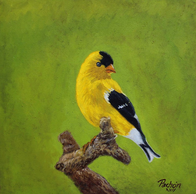 AMARILLO
