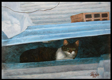 Un gato en el tejado