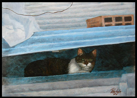 Un gato en el tejado
