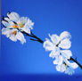 flores de almendro