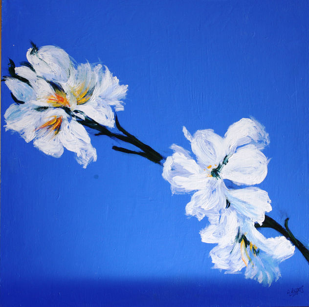 flores de almendro