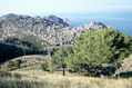 Serra de Tramuntana