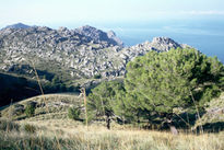 Serra de Tramuntana