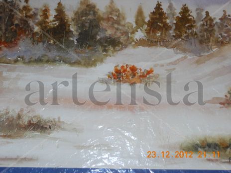 Campo nevado