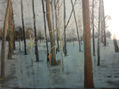 en el bosque