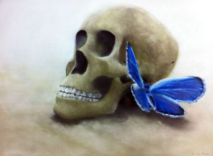 Metamorfosis